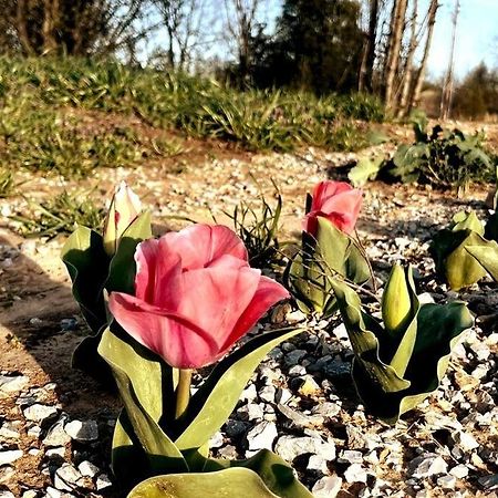 #4 Kentucky Bourbon Trail Bourbon Barrel Cottages Lawrenceburg Ngoại thất bức ảnh